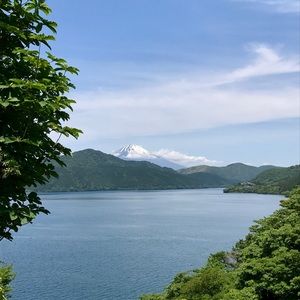 Meet your Posher, Cat